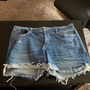 Distressed stretchy jean shorts